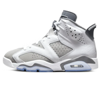 Air Jordan 6 'Cool Grey'